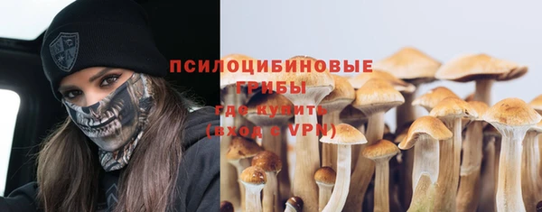 прущий лед Алексеевка