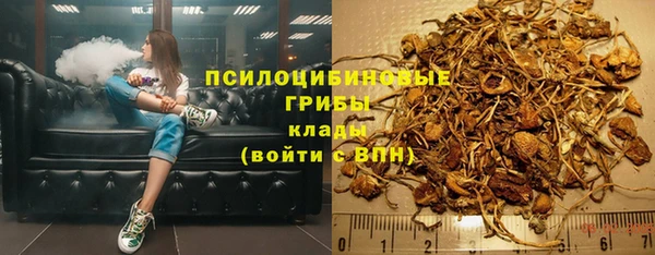 бошки Алзамай