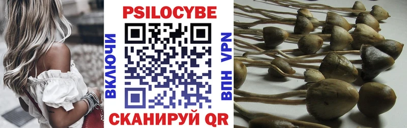сколько стоит  Пермь  ссылка на мегу ССЫЛКА  Псилоцибиновые грибы Cubensis 